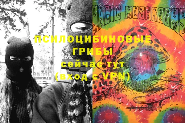 2c-b Михайлов