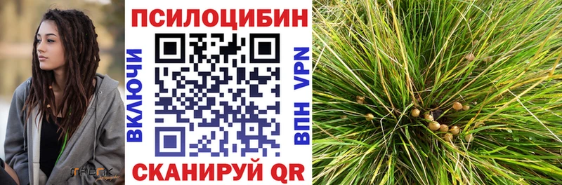 кракен   цена наркотик  Оханск  Псилоцибиновые грибы мицелий 